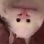 @ярухаш