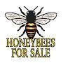 @honeybeesforsale