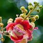 @hoanchaunguyen1405