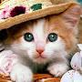 @wendybranham1569