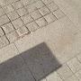 @zool4389
