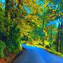 @NirajMagar-p8c