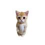 @MeatCat