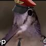 @Scootye