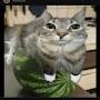 @Odavido028