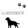 @LUXORA-PETS