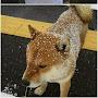 @黃M-j8l