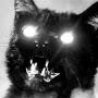 @ReflectingSatan