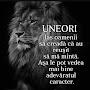 @dumitruconstantinalbeanu3904