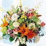 @ahmedbahiri2941