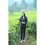 @kykyfatmawati6115