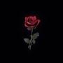 @Nesreen..