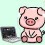 @ChubaboyThePig