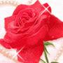 @srinivasudevatha4588