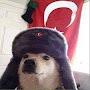 @averageturkishguy3169