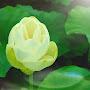 @smile-again