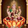 @venkaatnaidu9922