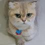 @oummohammedaluyghur7191