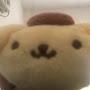 @pompompurin2024