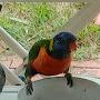@kerlogal_1979