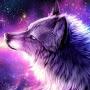 @galaxydogs6784