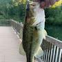 @Bassslayer0