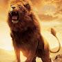 @roaringlion433