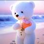 @shivakumarbisalavadi4626