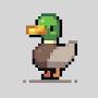 @0xDuckyChain