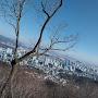 @St-w1f