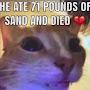 @Hoags42015