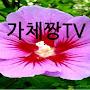 @가체짱tv