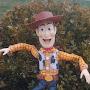 @Woodyfan_