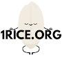 @thetheoryofenlightenment