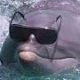@Singingdolphin101