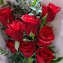 @user-jina80