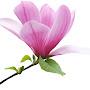 @lightoflove8657