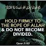 @mohammedidrees1759
