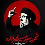 @naeemafridi1545
