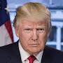 @trumpdonald6911