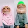 @kartal2238