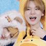 @파야-v5u