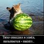 @Мирас-ь7ф8д