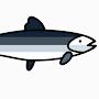 @Scomber-Mackerel