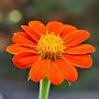 @mumbaibalconygardenerhobbies
