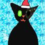 @Cats1839
