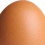 @Egg.3-w1y