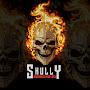 @skullygamingzx8383