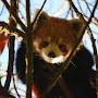 @Redpanda-u2m