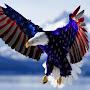 @NoDontTreadOnMe1775